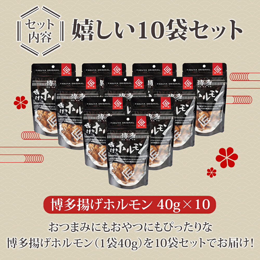 【ふるさと納税】博多揚げホルモン(10袋セット) ホルモン 国産豚 唐揚げ おつまみ 送料無料 f402231-koga-10002733 福岡県古賀市 サンプル画像2