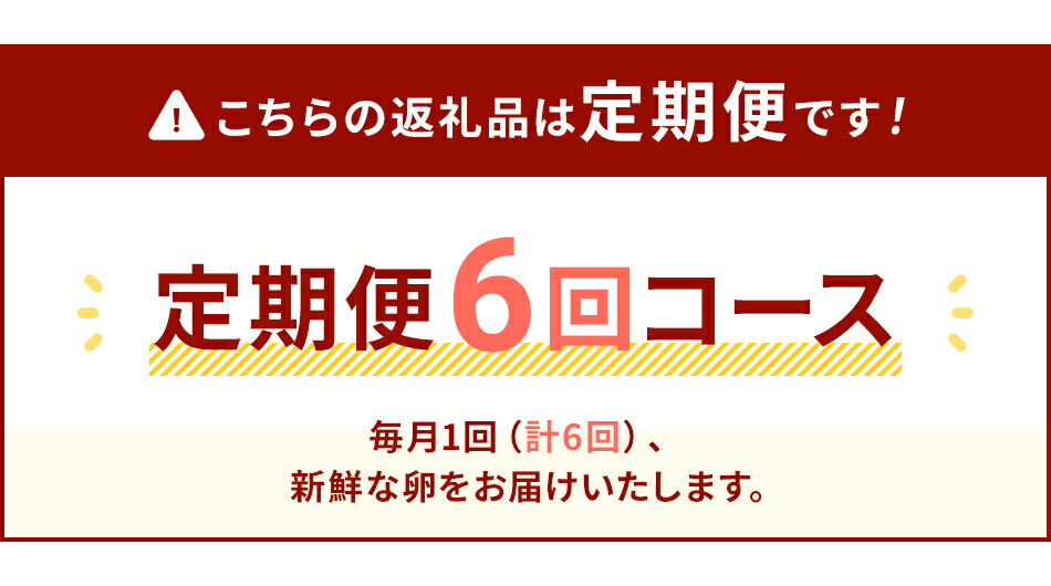 【ふるさと納税】たまご後期定期便 6回発送（初回のみ醤油付き・たまご20個）20個×6回 合計120個 定期便 6ヶ月 卵 おうはん卵 青柳たまご 送料無料 【2024年7月〜12月の計6回お届け】