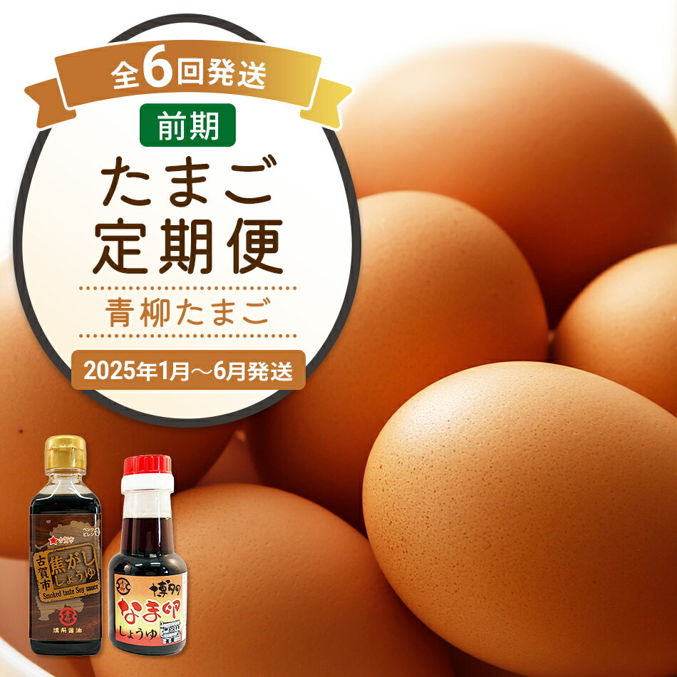 【ふるさと納税】たまご前期定期便 6回発送（初回のみ醤油付き・たまご20個）20個×6回 合計120個 定期便 6ヶ月 卵 おうはん卵 青柳たまご 送料無料 【2025年1月〜6月の計6回お届け】のサムネイル