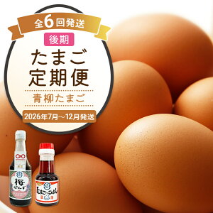 【ふるさと納税】たまご後期定期便 6回発送(初回のみ醤油付き・たまご20個)20個×6回 合計120...