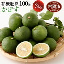 【ふるさと納税】数量限定 かぼす 3kg 有機肥料100%で...