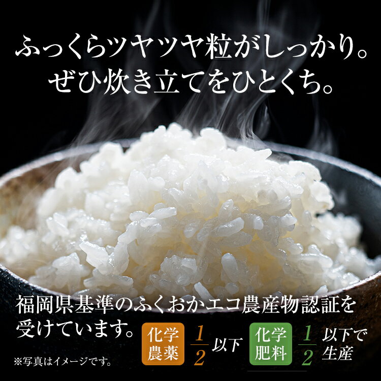 【ふるさと納税】渡さんのこだわり米 選べる 1kg 5kg 10kg 夢つくし 元気つくし にこまる ふくおかエコ農産物認証 米 精米 古賀市産 お取り寄せグルメ お取り寄せ 福岡 お土産 九州 福岡土産 取り寄せ グルメ 福岡県