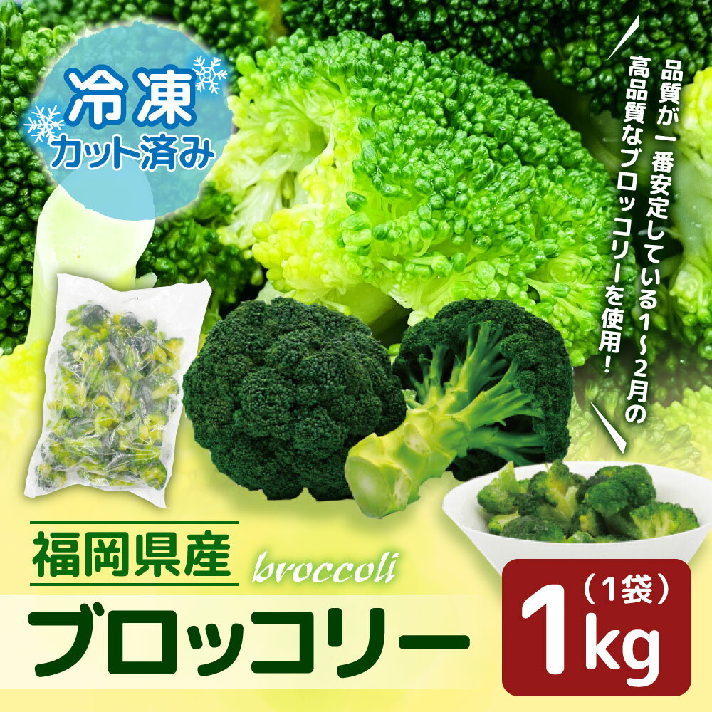 【ふるさと納税】【福岡県産】 冷凍 ブロッコリー 1kg （1kg×1袋）冷凍ブロッコリー 冷凍野菜 冷凍やさい 冷凍カット野菜 カット野菜 野菜 やさい 冷凍 送料無料 [F2256]