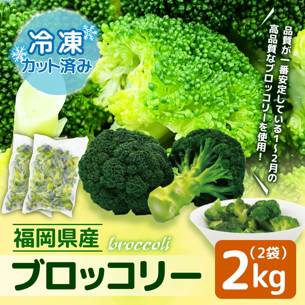 【ふるさと納税】【福岡県産】 冷凍 ブロッコリー 2kg （1kg×2袋）冷凍ブロッコリー 冷凍野菜 冷凍やさい 冷凍カット野菜 カット野菜 野菜 やさい 冷凍 送料無料 [F2257]