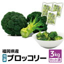 【ふるさと納税】福岡県産 冷凍ブロッコリー 合計3kg(1kg×3袋)カット済み ブロッコリー 野菜 冷凍野菜 冷凍 カット野菜 簡単 調理 国産 九州産 送料...
