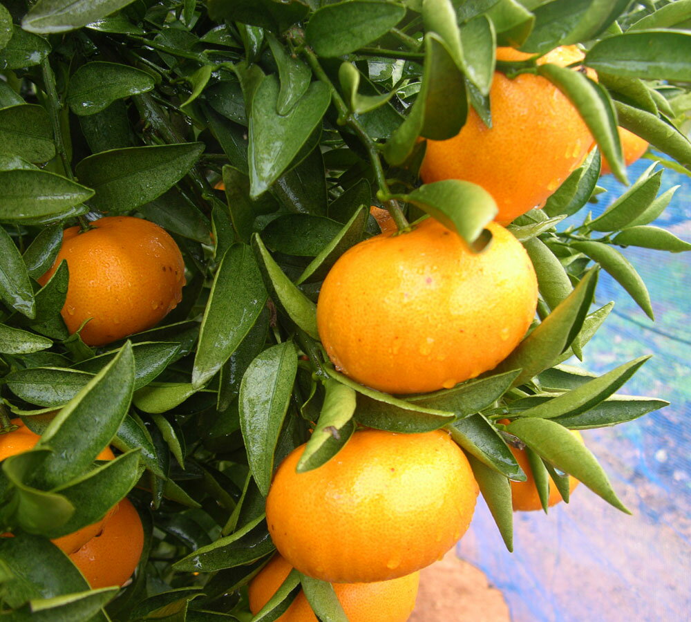 福岡県福津市の画像2