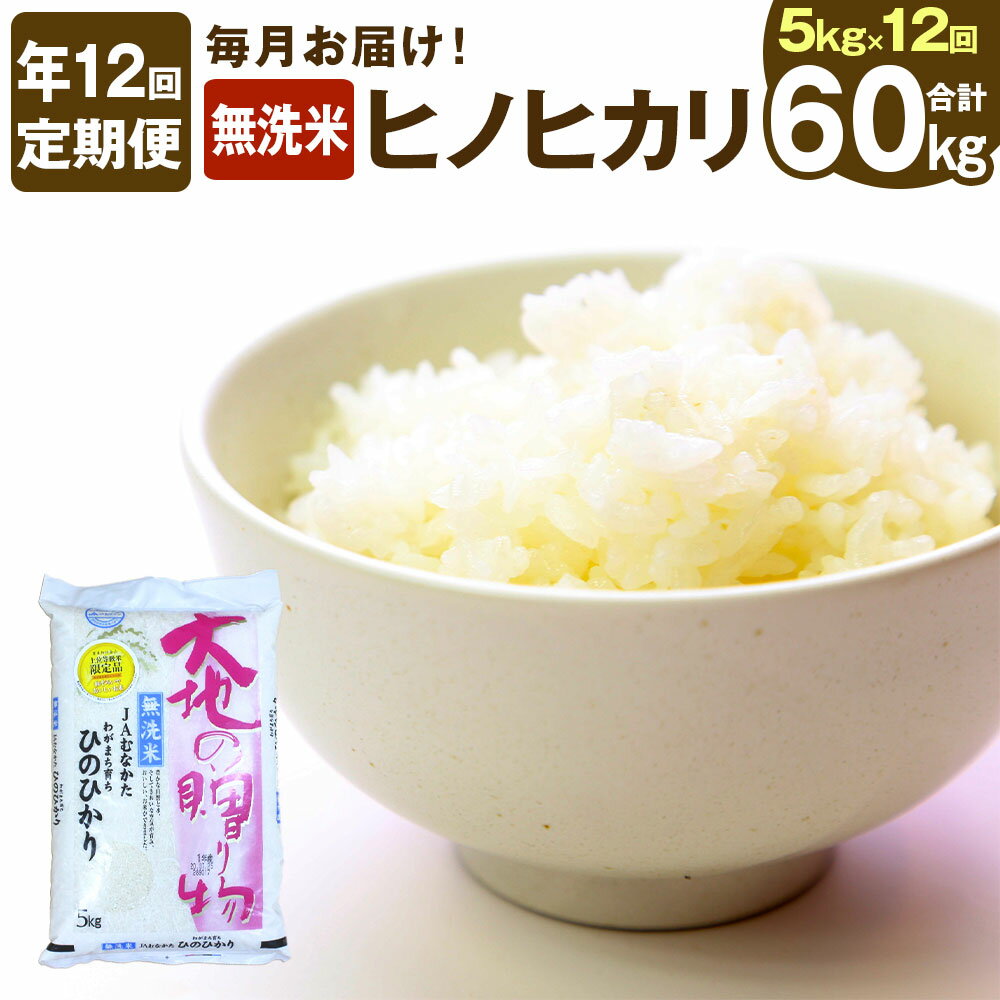 【ふるさと納税】【年12回毎月定期便】【1月開始】 無洗米ヒノヒカリ 5kg×12回 計60kg 令和4年産 定期便 ひのひかり 米 お米 白米 精米 国産 九州産 送料無料 [D5111]