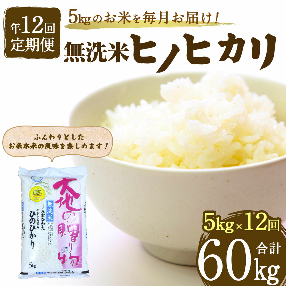 【ふるさと納税】【年12回毎月定期便】【1月開始】 無洗米ヒノヒカリ 5kg×12回 計60kg 令和4年産 定期便 ひのひかり 米 お米 白米 精米 国産 九州産 送料無料 [D5111]