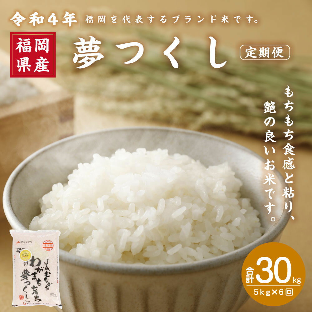 【ふるさと納税】【年6回偶数月定期便】【2月開始】 福岡県産 夢つくし 5kg×6回 合計30kg 定期便 令和4年産 ゆめつくし ユメツクシ 米 お米 白米 精米 福岡県産米 送料無料 [D5042]