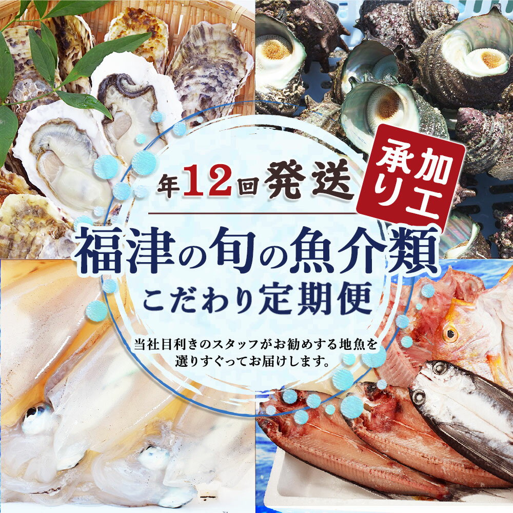 【ふるさと納税】＜加工承り＞【年12回毎月定期便】 福津の旬の魚介類こだわり定期便 魚 魚介類 牡蠣 イカ サザエ 真鯛 干物 セット 定期便 地魚 コウイカ アオリイカ 定期便 新鮮 冷蔵 冷凍 福津市産 送料無料 [F6460]