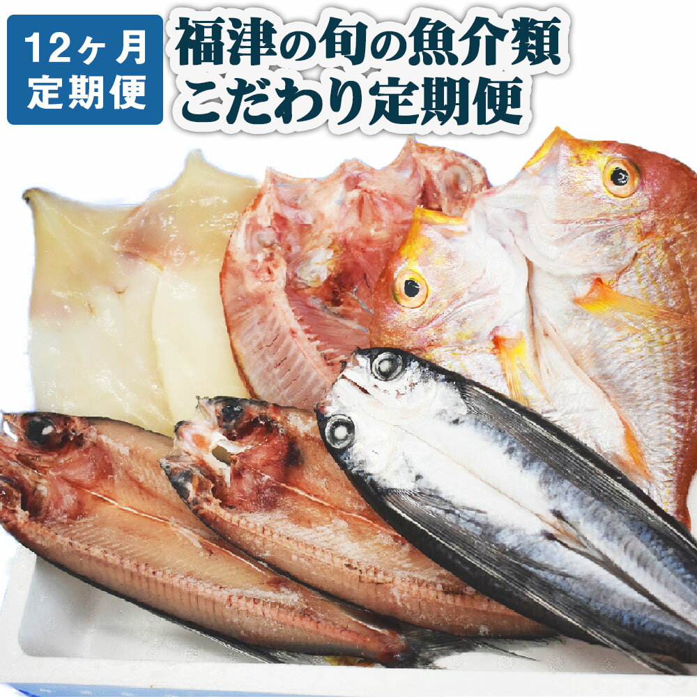 11位! 口コミ数「0件」評価「0」【年12回毎月定期便】 福津の旬の魚介類こだわり定期便 魚 魚介類 牡蠣 イカ サザエ 真鯛 干物 セット 地魚 コウイカ アオリイカ 定期･･･ 