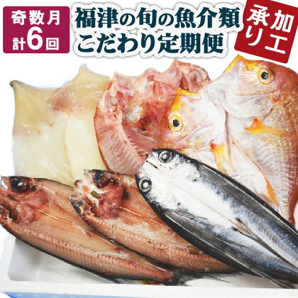 ＜加工承り＞ 【年6回奇数月定期便】福津の旬の魚介類こだわり定期便 魚 魚介類 牡蠣 イカ サザエ 真鯛 干物 セット 地魚 コウイカ アオリイカ 定期便 新鮮 冷蔵 冷凍 福津市産 送料無料 [F6480]