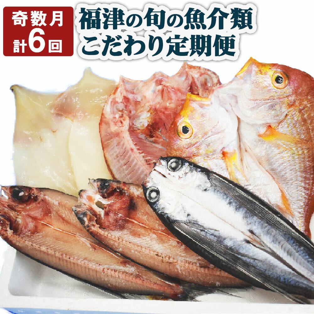 [年6回奇数月定期便]福津の旬の魚介類こだわり定期便 魚 魚介類 牡蠣 イカ サザエ 真鯛 干物 セット 地魚 コウイカ アオリイカ 定期便 新鮮 冷蔵 冷凍 福津市産 送料無料 [F6490]