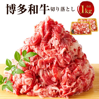 博多和牛 切り落とし 1kg（500g×2パック）黒毛和牛 牛肉 肉 お肉 国産牛 国産牛肉 和牛 牛肩 肩肉 赤身 牛バラ バラ肉 料理 冷凍 お取り寄せグルメ 化粧箱入り 博多 九州 福岡県 福津市 送料無料 [F0096a]