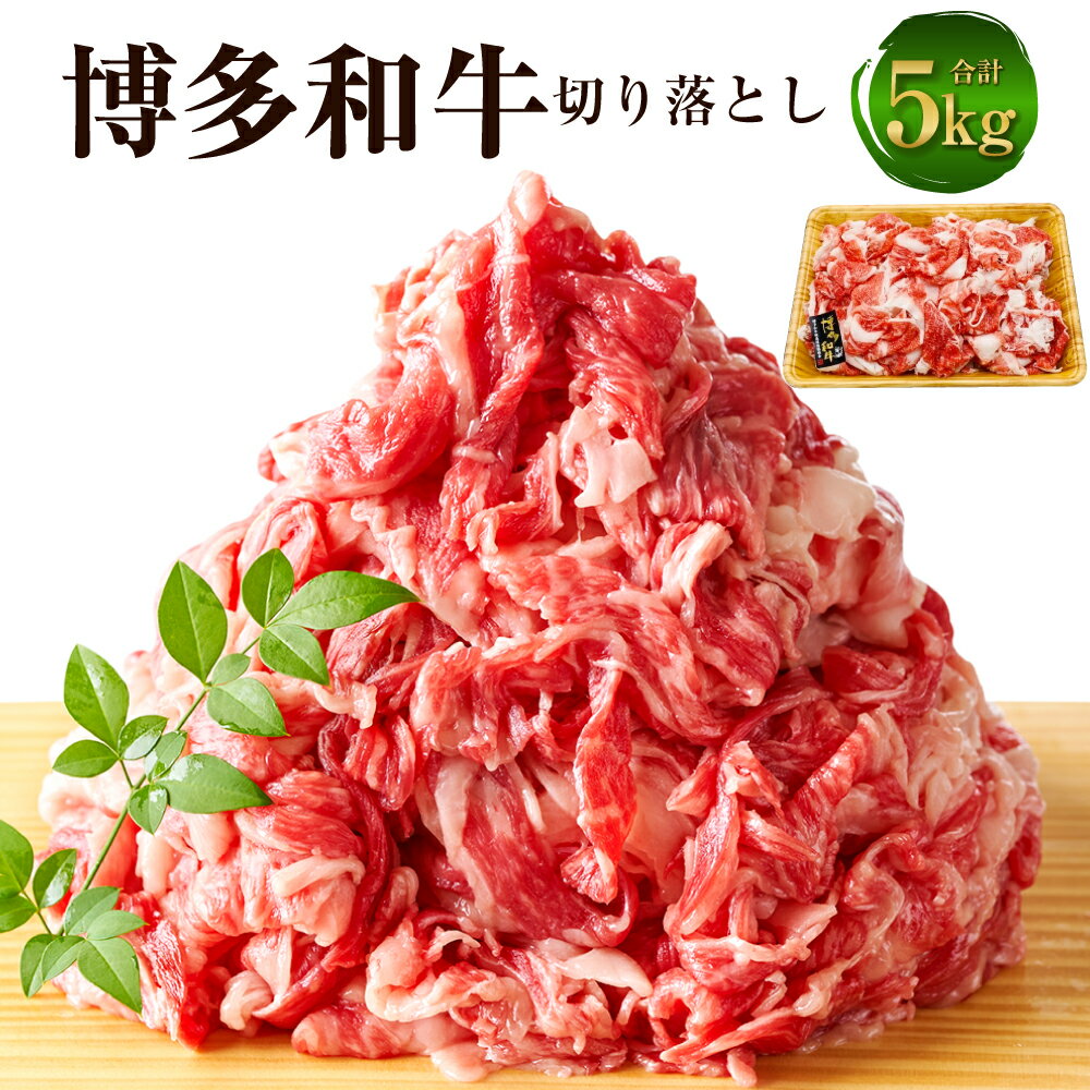 博多和牛 切り落とし 5kg（500g×10パック）黒毛和牛 牛肉 肉 お肉 国産牛 国産牛肉 和牛 牛肩 肩肉 赤身 牛バラ バラ肉 料理 冷凍 お取り寄せグルメ 博多 九州 福岡県 福津市 送料無料 [F0097]