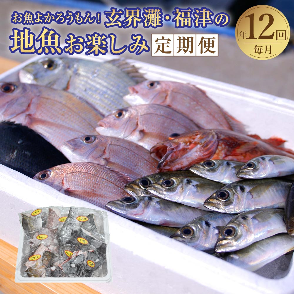 [年12回毎月定期便]お魚よかろうもん!玄界灘・福津の地魚お楽しみ定期便 冷凍 玄界灘 福津市 九州産 国産 干物 牡蠣 サザエ 地魚 海鮮 海の幸 魚介 魚介類 旬の魚 おまかせ 冷凍 送料無料 [F6440]