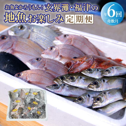 【年6回奇数月定期便】お魚よかろうもん！玄界灘・福津の地魚お楽しみ定期便 冷凍 玄界灘 福津市 九州産 国産 干物 牡蠣 サザエ 地魚 海鮮 海の幸 魚介 魚介類 旬の魚 おまかせ 冷凍 送料無料 [F6450]