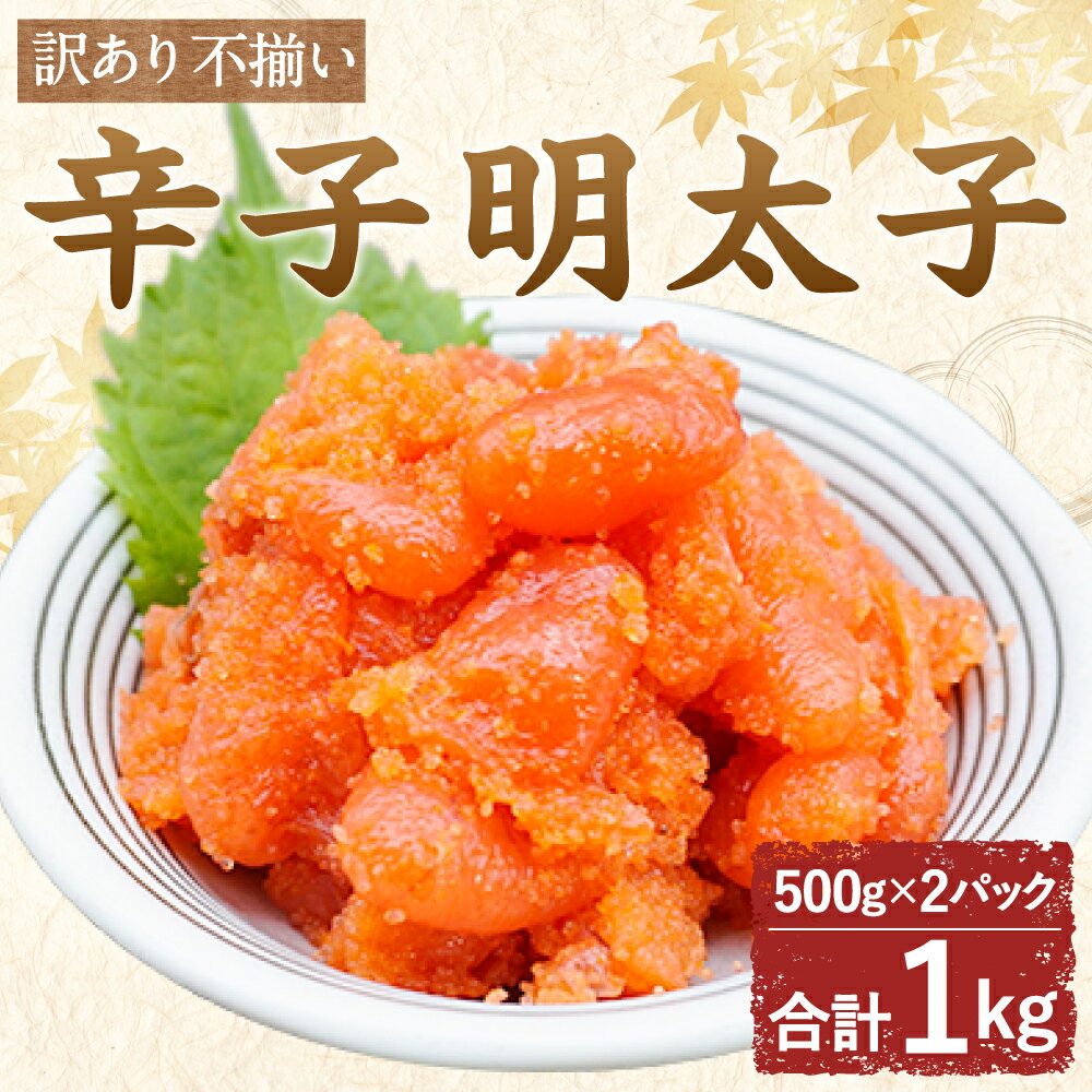 福岡県福津市の画像2