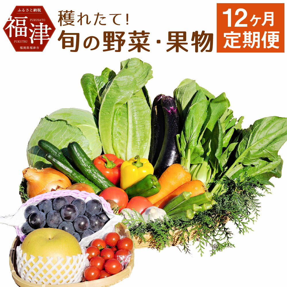 [年12回毎月定期便]穫れたて! 旬の野菜・果物 定期便 冷蔵 あんずの里 10品目×12回 野菜 果物 フルーツ 春 旬 セット 詰め合わせ 福岡県産 九州産 国産 送料無料 [F6250]