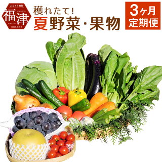 野菜果物定期便