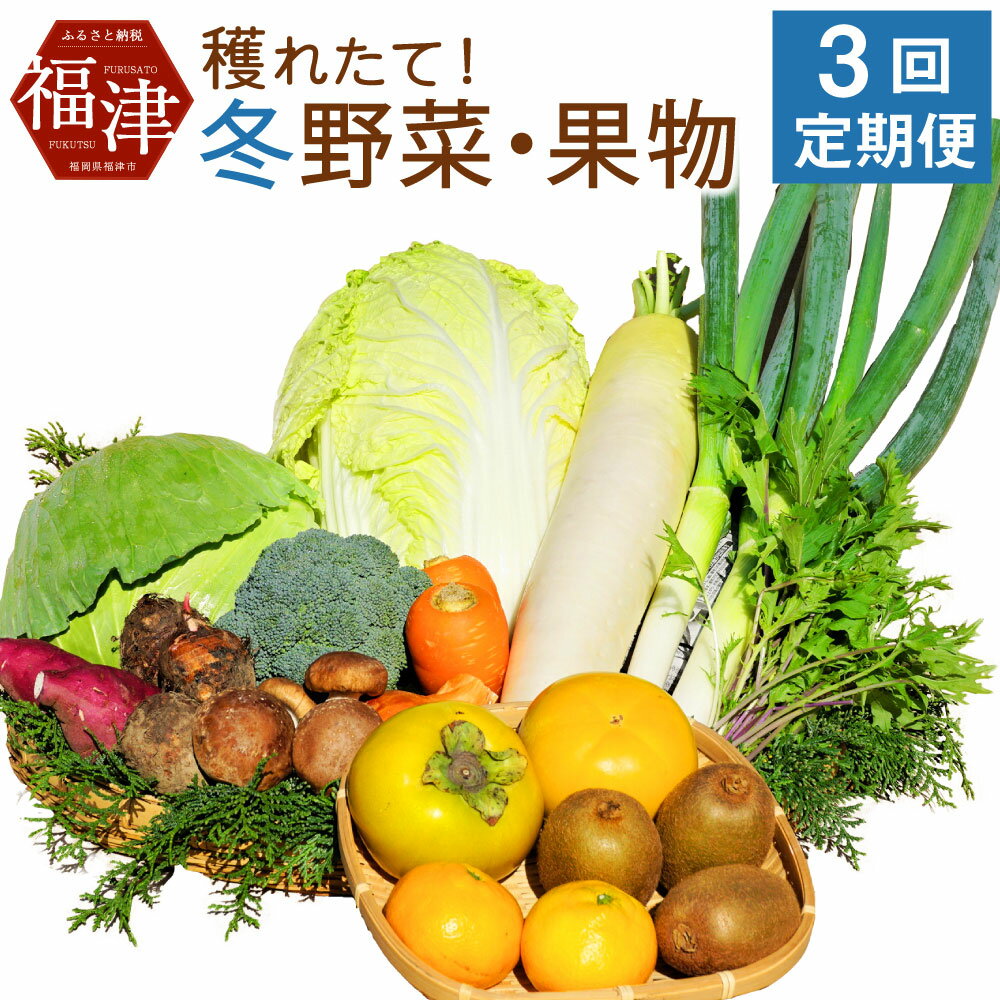 最大71%オフ! 道の駅むなかた旬のお野菜 果物詰合せセット_KA0673 送料無料 fucoa.cl 最大71%オフ! 道の駅むなかた旬のお野菜 果物詰合せセット_KA0673 送料無料 fucoa.cl