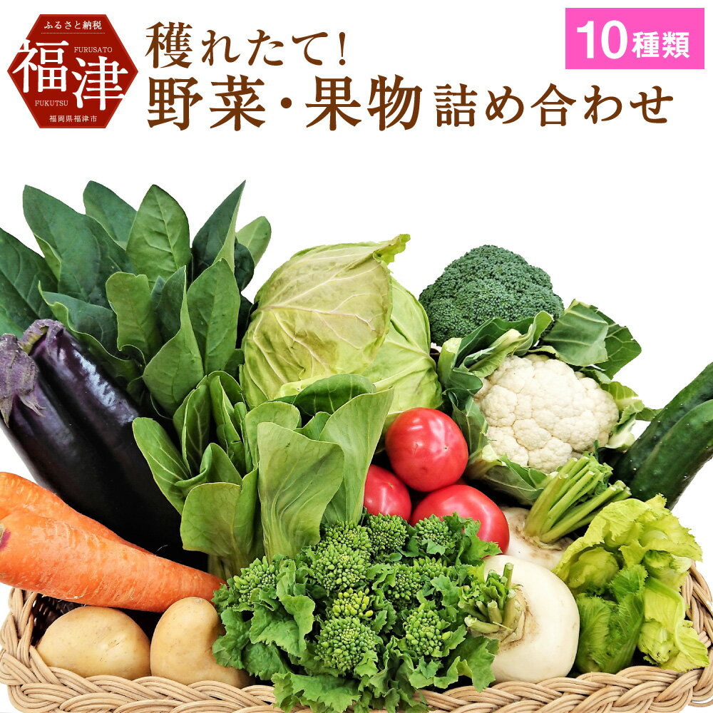 【ふるさと納税】穫れたて！ 野菜・果物詰め合わせ 10品目 