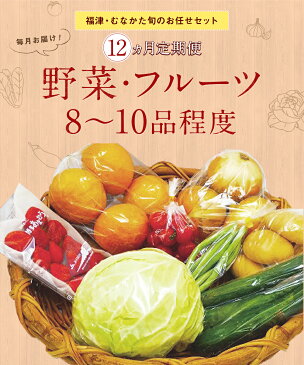 【ふるさと納税】福津・むなかた旬のお任せセット 野菜 フルーツ 8〜10品程度 毎月お届け 12ヵ月 12回 定期便 詰め合わせ 果物 産地直送 送料無料