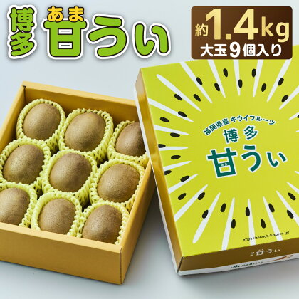 福岡県ブランドキウイフルーツ「博多甘うぃ」化粧箱 大玉 9玉 約1.4kg 果物 果実 オリジナル品種 常温 送料無料 【2024年11～12月出荷】［F2279］