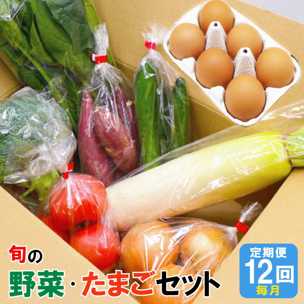 【ふるさと納税】【年12回毎月】 福津・むなかた 旬の野菜と卵定期便 計7品【随時開始】 旬 野菜 卵 詰め合わせ セット 定期便 九州産 福岡県 福津市 冷蔵 送料無料【随時開始】 [F5390]