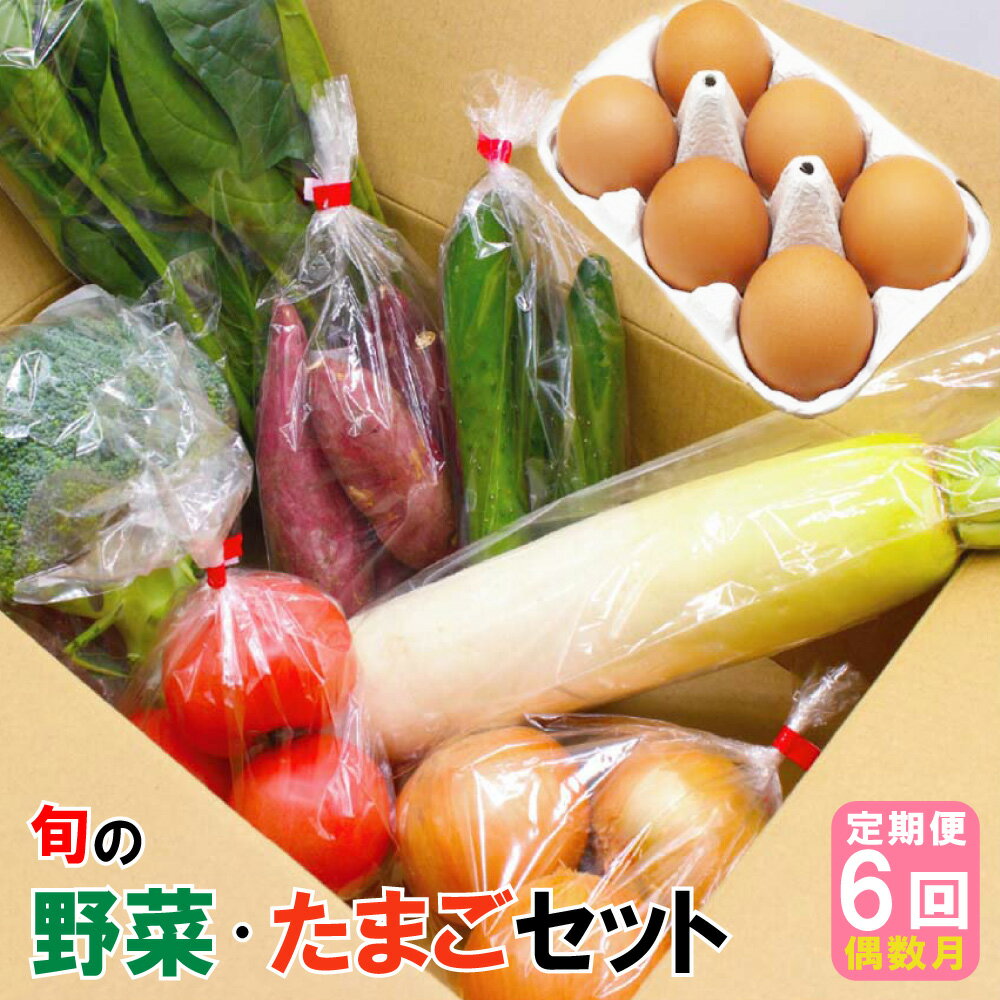 【年6回偶数月】 福津・むなかた 旬の野菜と卵定期便 計7品【随時開始】 旬 野菜 卵 詰め合わせ セット 定期便 九州産 福岡県 福津市 冷蔵 送料無料【随時開始】 [F5400]