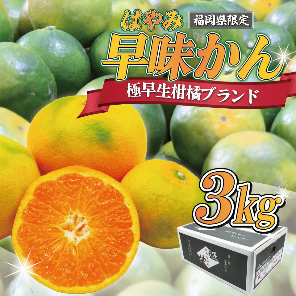 【ふるさと納税】 JAむなかた ブランドみかん 【姫の神】 （早味かん） 約3kg みかん ミカン 蜜柑 姫の神 早味かん 極早生みかん 柑橘 柑橘類 フルーツ くだもの 果物 冷蔵 福岡県産 送料無料 【2024年9月中旬より順次発送】 [F2280]