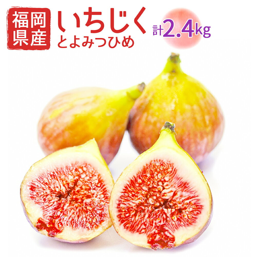 6位! 口コミ数「2件」評価「5」福岡県産 とよみつひめ 約300g×8パック 合計約2.4kg イチジク いちじく 無花果 フルーツ くだもの 果物 冷蔵 福岡県産 送料無･･･ 