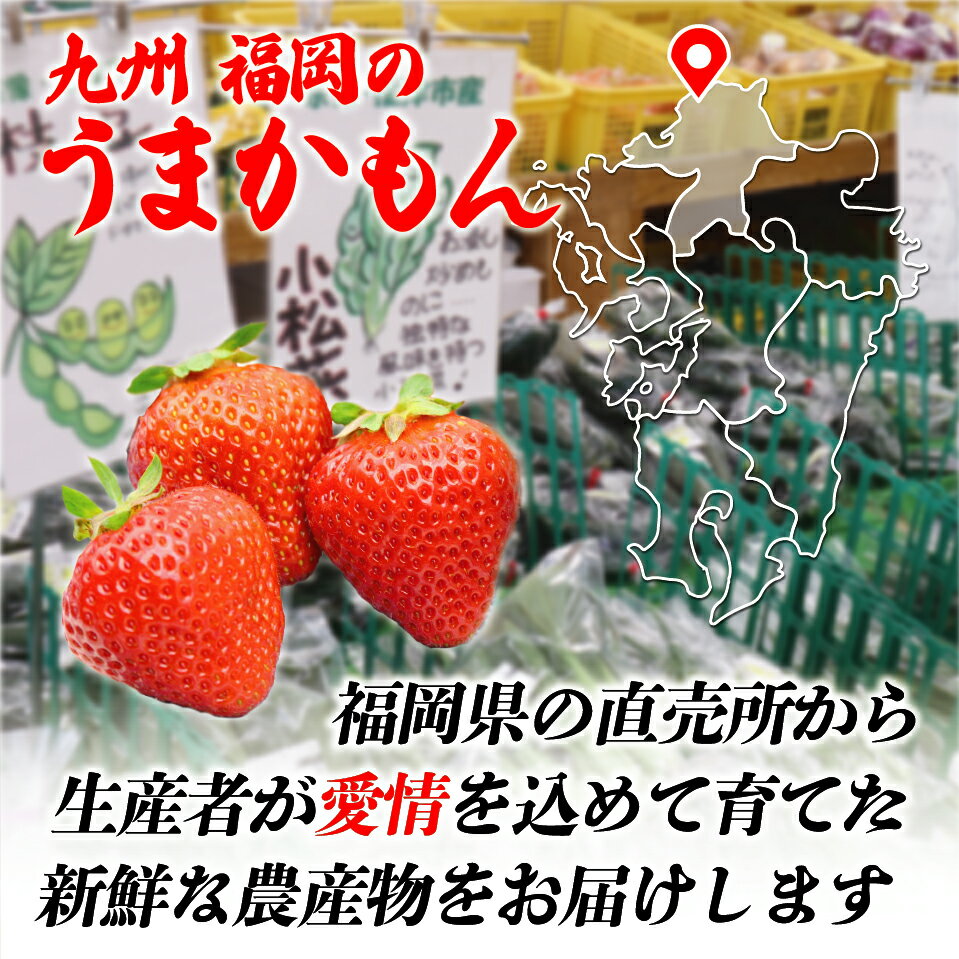 はごろもフーズ 朝からフルーツ みかん 95gパウチ×6袋入｜ 送料無料 フルーツ 果物 ミカン