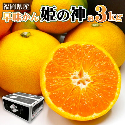 JAむなかた ブランドみかん 【姫の神】 （早味かん） 約3kg みかん ミカン 蜜柑 姫の神 早味かん 極早生みかん 柑橘 柑橘類 フルーツ くだもの 果物 冷蔵 福岡県産 送料無料 【2024年9月中旬より順次発送】 [F2280]