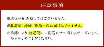 【ふるさと納税】JAむなかた 特製 無添加 本格 米味噌 3.2kg 800g×4 みそ 国産 調合味噌 送料無料