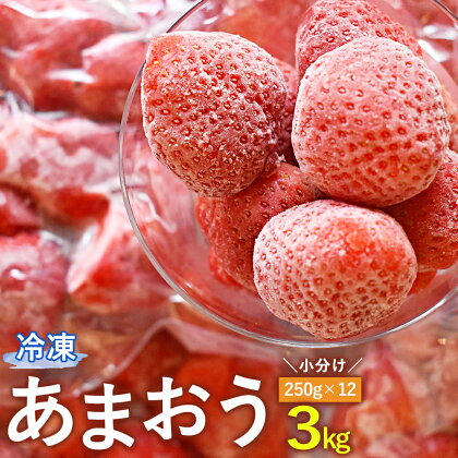 冷凍 あまおう 小分け パック 3kg 250g×12 摘みたて 瞬間冷凍 いちご イチゴ 苺 冷凍フルーツ 冷凍果物 フルーツ 国産 福岡県 福津市 送料無料【2024年4月より順次発送予定】 [F0022]