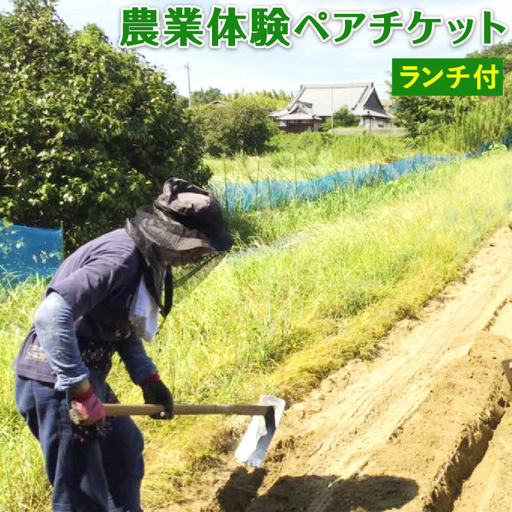 【ふるさと納税】無肥料催場 農業体験 ペアチケット ランチ付 種蒔き 収穫体験 農家 無肥料栽培 2名様 チケット 石井ピュアファーム 野菜 農業 体験 福岡県 福津市 九州 送料無料
