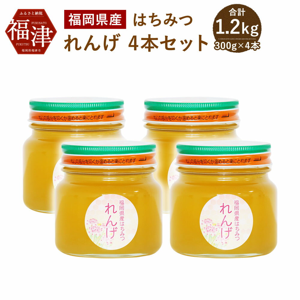 福岡県産 はちみつ れんげ 4本セット 300g×4 合計1200g 1.2kg 国産 非加熱 純粋 蜂蜜 ハチミツ れんげ蜂蜜 送料無料[E2070]