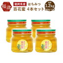 【ふるさと納税】福岡県産 はちみつ 百花蜜 4本セット 300g×4 合計1200g 1.2kg 国産 非加熱 純粋 蜂蜜 ハチミツ 百花蜂蜜 送料無料[G20...