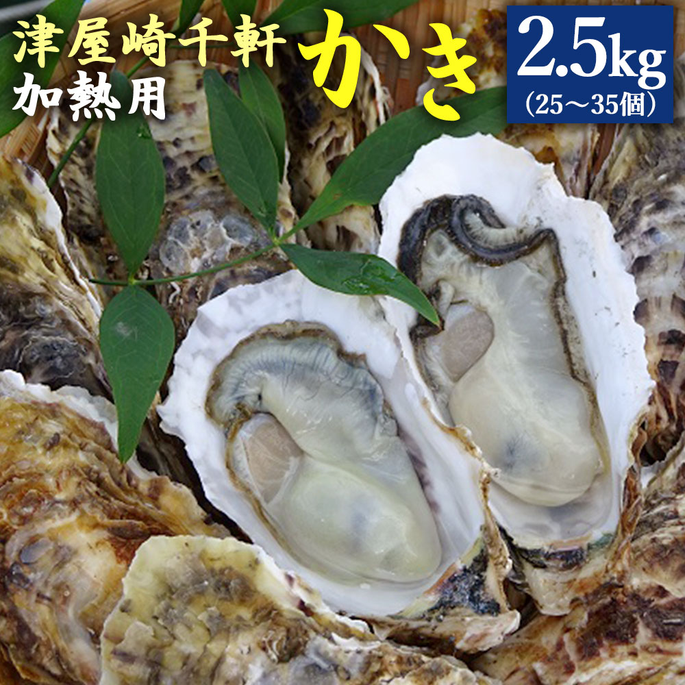 【ふるさと納税】津屋崎千軒 かき 2.5kg 25〜35個 加熱用 殻付き 養殖 まがき 牡蠣 カキ 貝 海鮮 魚介類 シーフード 送料無料