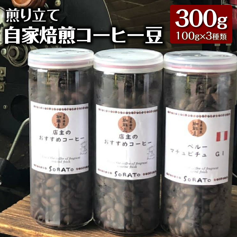 3位! 口コミ数「0件」評価「0」煎り立て自家焙煎コーヒー豆（100g×3種類）マチュピチュ ペルー産ホンジュラス グアテマラ コスタリカ 珈琲 詰め合わせ セット 送料無料･･･ 