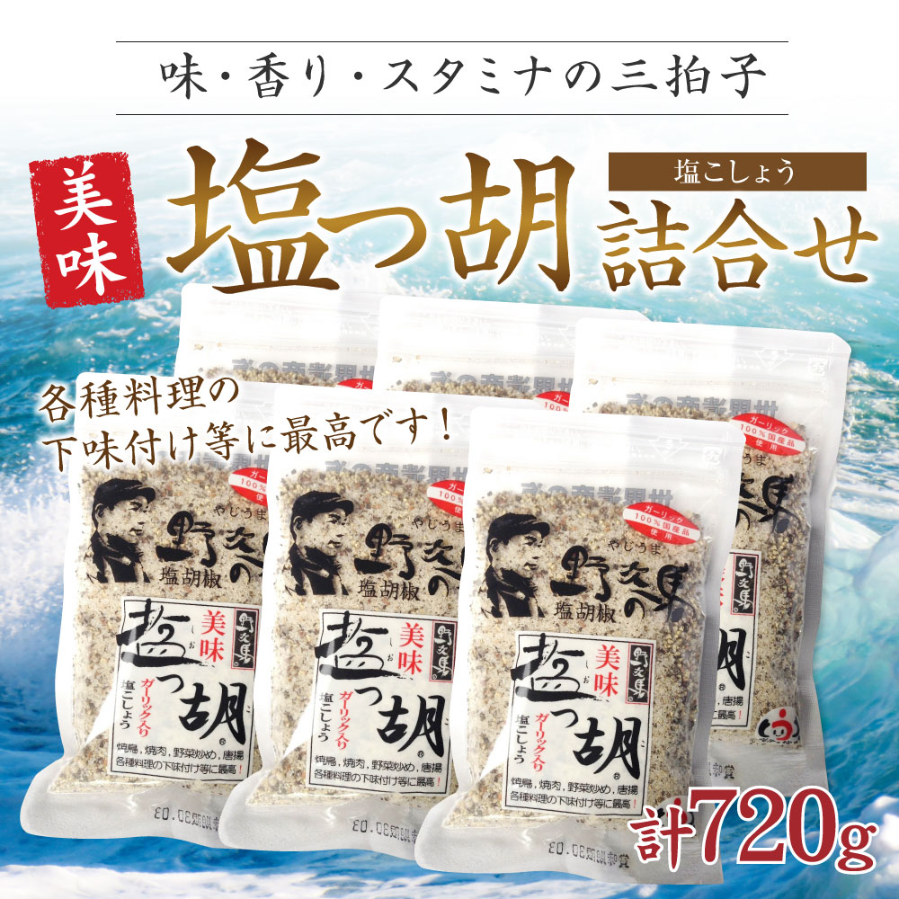 【ふるさと納税】塩工房野次馬 有名芸人お勧めの塩 美味塩っ胡 6袋 計720g 袋入り 塩 食塩 塩こしょう 塩胡椒 ガーリック 黒胡椒 パウチ 調味料 送料無料 [F2038]