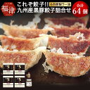 【ふるさと納税】これぞ餃子！！ 九州産黒豚餃子詰合せ （福津の極み認定商品） ＆ 自家製ラー油 16個×4パック 合計64個 特製たれ ラー油 付き 福津の極み認定商品 冷凍 豚 黒豚 餃子 ぎょうざ ギョーザ 惣菜 中華惣菜 中華 国産 送料無料 [F4383]