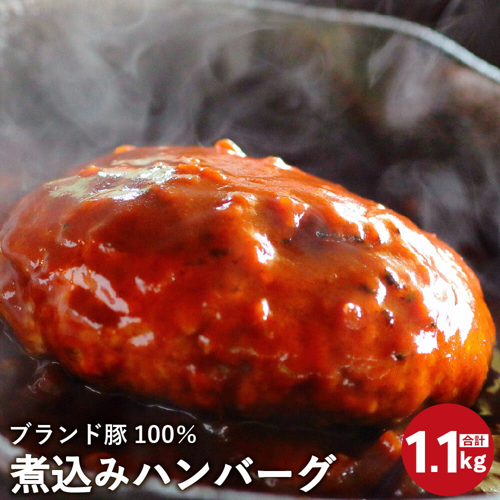 【ふるさと納税】ブランド豚100％ 煮込みハンバーグ 220g×5個 合計1.1kg ブランド豚 きじょん山豚 ハンバーグ デミグラスソース 食品 冷凍 惣菜 九州産 国産 送料無料