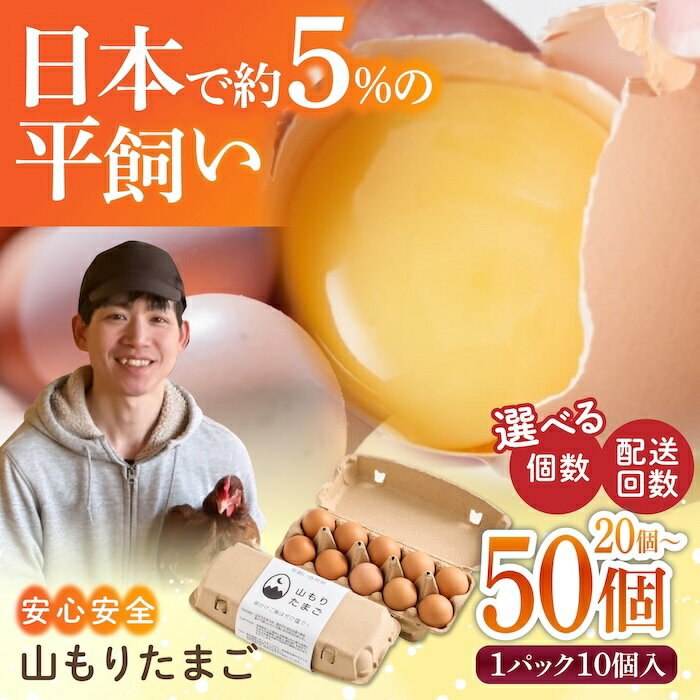 [選べる個数と回数] 平飼い 山もりたまご 20~50個 家族に食べさせたい 安心安全 おいしさに感動 たまご 卵 高級卵 平飼い 安心安全 飼料にこだわり 成長剤不使用 ホルモン剤不使用 添加物不使用 定期便 毎月 月2回 送料無料 福岡県 うきは市