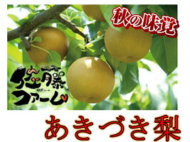 【ふるさと納税】佐藤ファームあきづき梨5kg