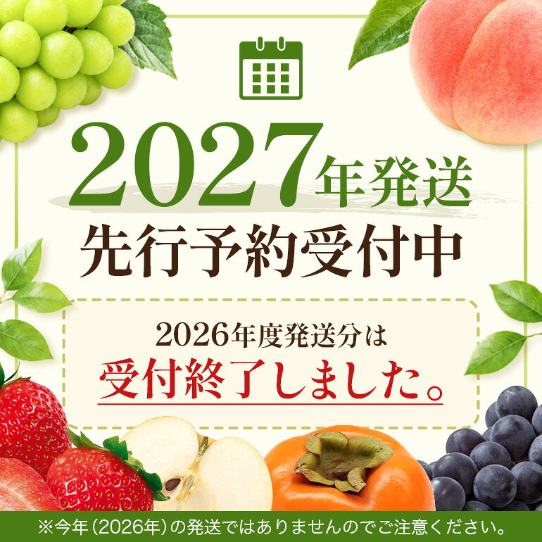 【ふるさと納税】種無し巨峰2kg 巨峰 ぶどう ブドウ 葡萄 果物 フルーツ くだもの ギフト 贈答 種無し 種なし おすすめ 人気 福岡県 うきは市 送料無料 【2027年8月上旬〜8月下旬発送予定】 f402257-ukiha-10003754 福岡県うきは市 サンプル画像3