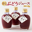 野菜・果実飲料人気ランク26位　口コミ数「0件」評価「0」「【ふるさと納税】石井農園 ぶどうジュース 3本セット」