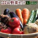 【ふるさと納税】UIC 名水うきはの無農薬減農薬お野菜セット