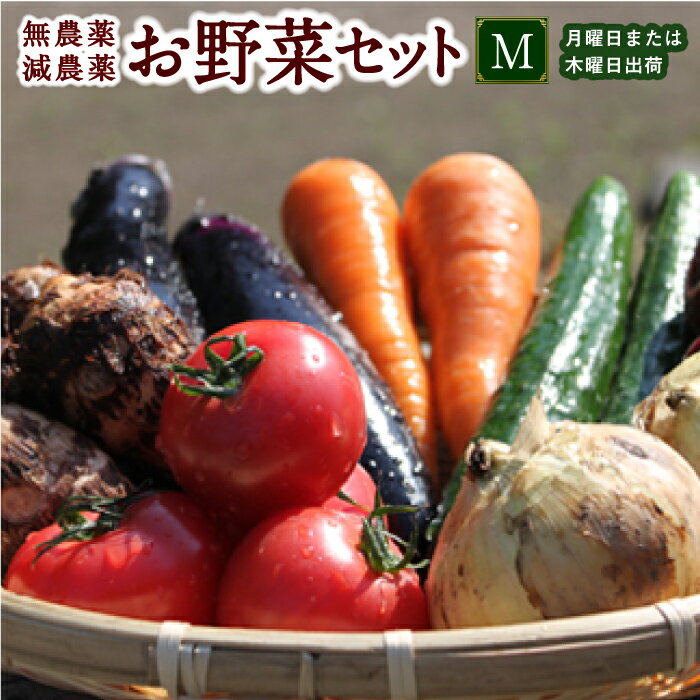 UIC 名水うきはの無農薬減農薬お野菜セットM